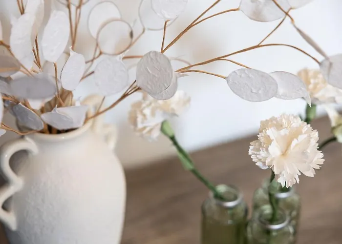 Apartman Cocon Design Au Port Emplacement D Exception